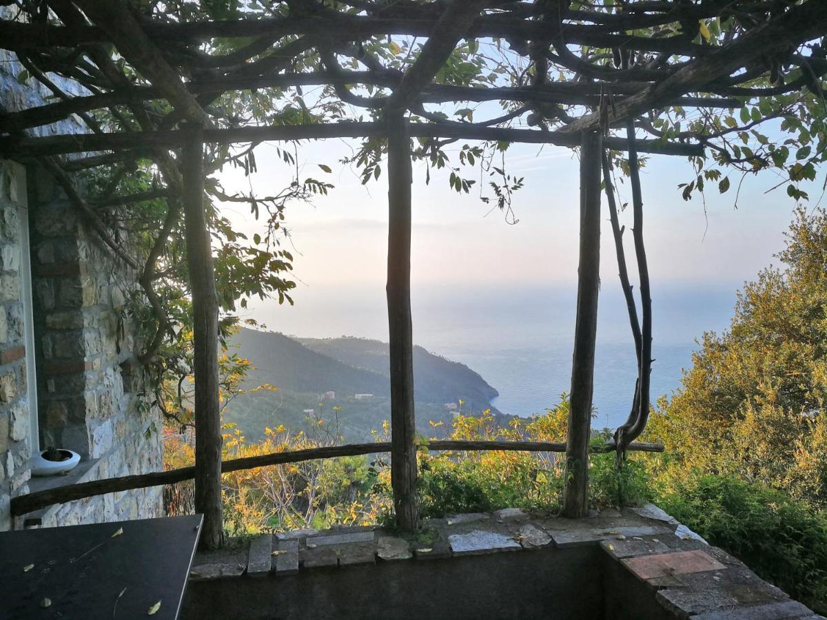 Cottage La Torre Del Pittore Бонасола Екстериор снимка