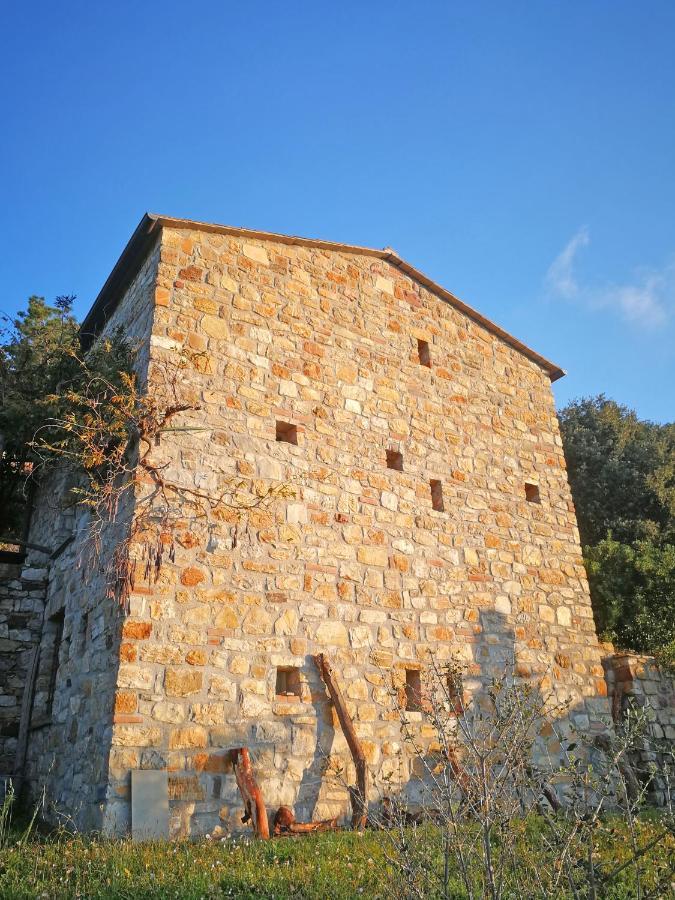 Cottage La Torre Del Pittore Бонасола Екстериор снимка